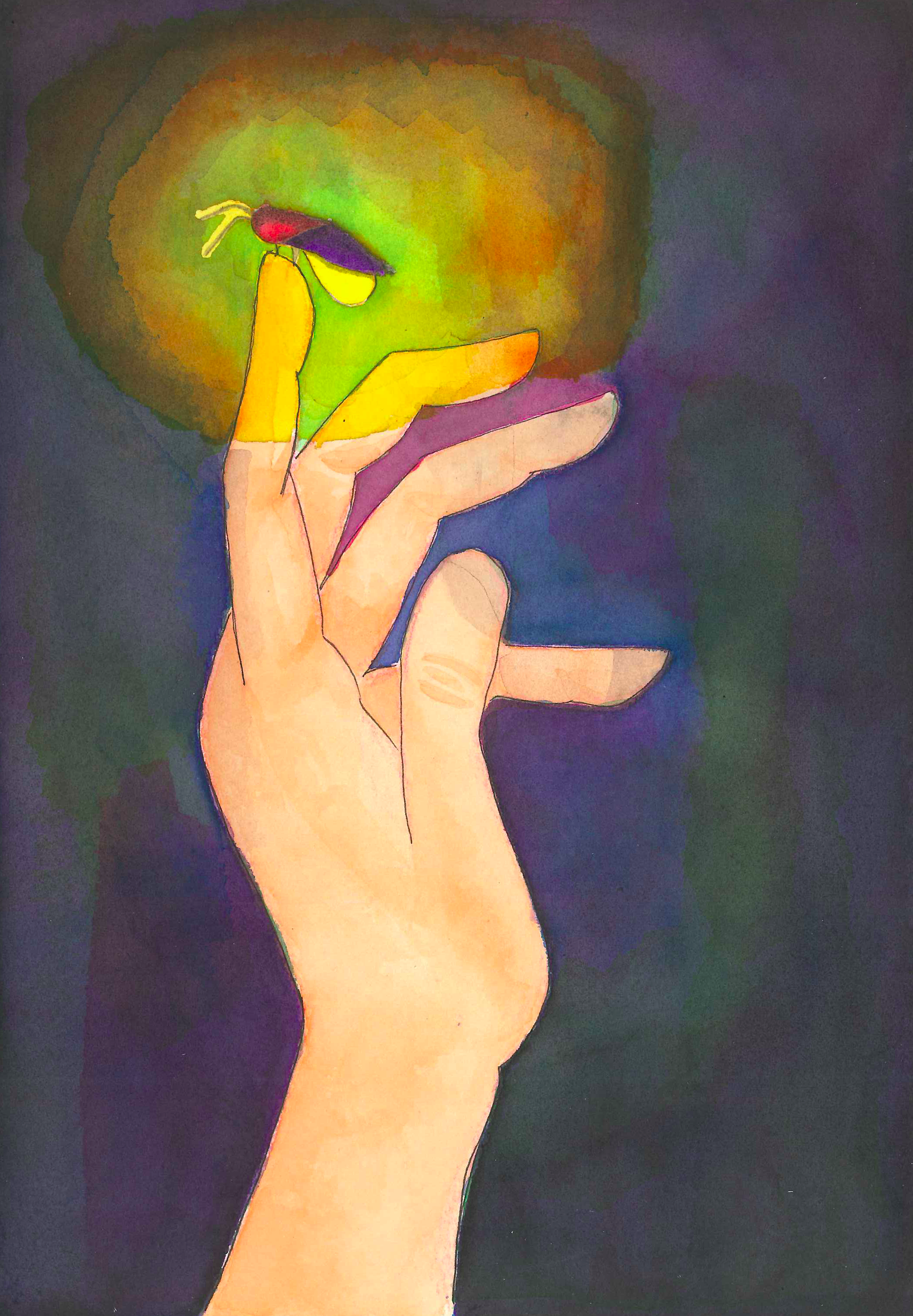 Ilustración Luciérnagas